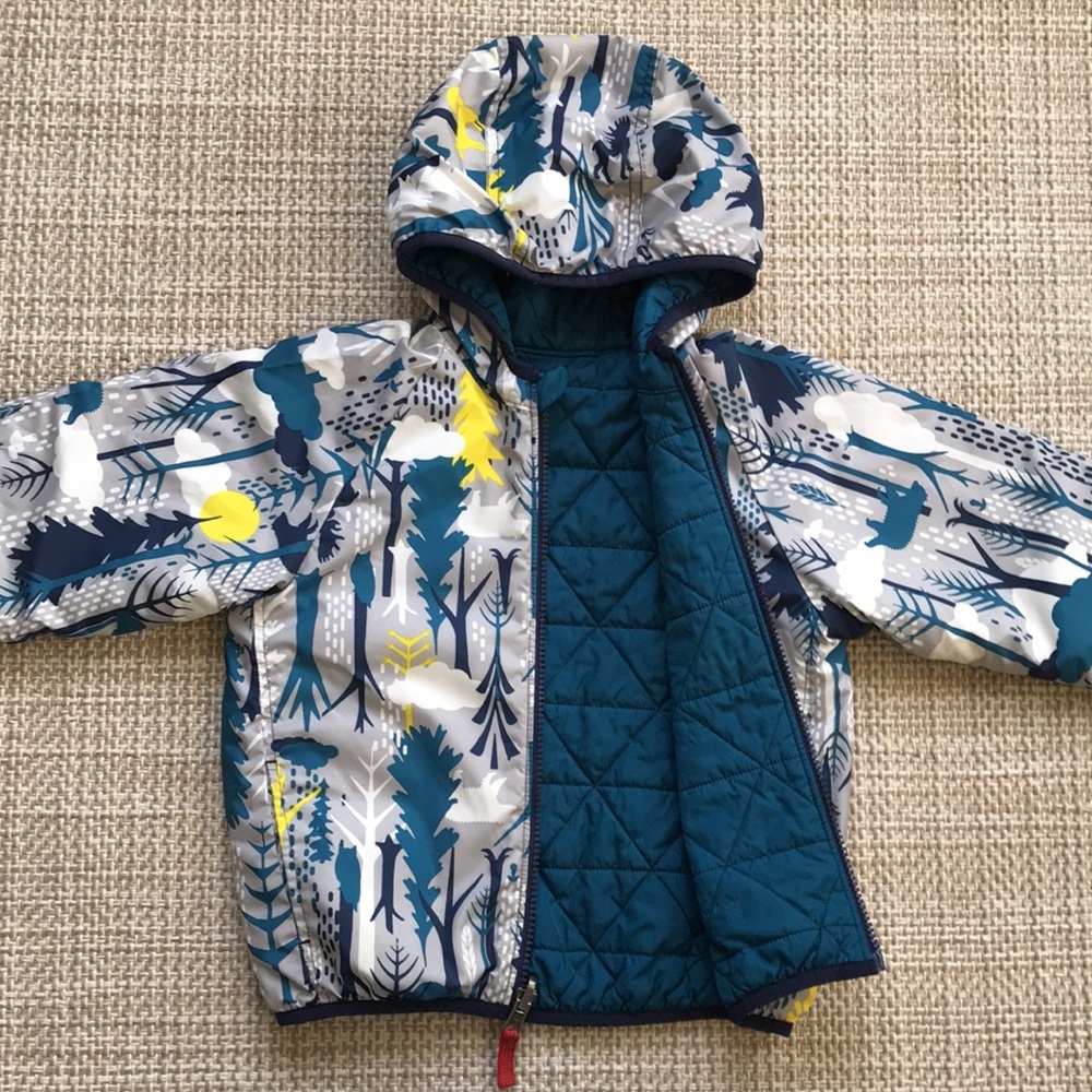 Patagonia Reversible Jacket (size 4T)
